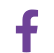 icon fb