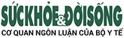 Logo ks-ds